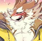 blush clothing countershading embarrassed fluffy jacket male pecs solo topwear undressing nokia1124_a lifewonders tokyo_afterschool_summoners seth_(tas) canid canine canis jackal mammal absurd_res hi_res