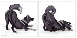 animal_genitalia animal_pussy bodily_fluids border breasts canid canine canine_genitalia canine_pussy canis cum domestic_dog female feral feralbarks genital_fluids genitals hi_res kutsiihvost leaking_cum mammal multi_breast nipples plump_labia pregnant puffy_nipples pussy solo white_border wolf