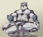 2017 5_fingers abs absurd_res accessory anthro armor balls big_muscles biped blush bottomwear canid canine canis chest_tuft clothed clothing crouching feet fingers flaccid foot_wraps foreskin front_view fur genitals grey_body grey_fur grey_hair hair hand_on_leg headband hi_res horkeu_kamui_(tas) humanoid_feet humanoid_genitalia humanoid_hands humanoid_penis kemono lifewonders loincloth male mammal muscular muscular_anthro muscular_male nipples penis plantigrade pubes short_hair snowjune solo spread_legs spreading tokyo_afterschool_summoners topless tuft white_legs wolf wraps yellow_eyes