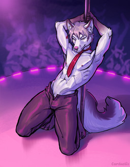 anthro bottomwear bulge clothed clothing dancing fur group hands_behind_head kneeling looking_at_viewer male male_stripper multicolored_body muscular necktie nipples pants pole solo_focus stripper_pole striptease topless white_body white_fur carduelis kinktober kinktober_2025 background_character canid canine fox mammal 2025 hi_res