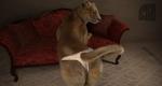 anthro butt camel_toe clothed clothed_feral clothing female feral fur furniture looking_at_viewer looking_back panties pose presenting raised_tail realistic semi-anthro sofa solo tail underwear whiskers cosmiclife shukura_(cosmiclife) felid lion mammal pantherine panties_on_feral 3d_(artwork) digital_media_(artwork) pinup