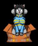 4_fingers adoption_box anthro black_eyes black_hair bottomless box breasts clothed clothing container erect_nipples female fingers fur grey_body grey_fur hair looking_at_viewer nipple_outline nipples open_mouth simple_background solo stripes tongue transparent_background nickwantstorp undertale undertale_(series) temmie_(undertale) canid canine canis domestic_cat domestic_dog felid feline felis mammal tem alpha_channel digital_media_(artwork) hi_res