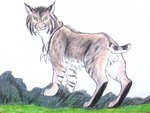 anatomically_correct anatomically_correct_genitalia animal_genitalia balls feline_genitalia feline_sheath feral fully_sheathed genitals green_eyes jewelry looking_at_viewer looking_back male necklace rear_view sheath solo whiskers white_balls white_sheath dragoness31 felid feline lynx mammal 4:3