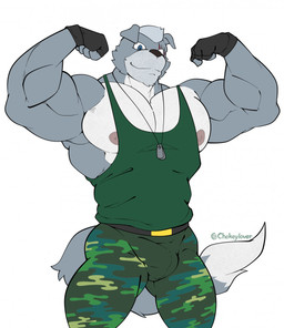 abs anthro army army_outfit army_uniform belt biceps black_belt black_clothing black_fingerless_gloves black_gloves black_handwear blue_eyes bottomwear bulge camo camo_bottomwear camo_clothing camo_pants camo_print clothing cocky cocky_smile detailed_bulge dog_tags eye_scar facial_scar fingerless_gloves fist flexing flexing_bicep flexing_both_biceps flexing_muscles flexing_pecs fur genital_outline gloves green_bottomwear green_clothing green_pants green_shirt green_tank_top green_topwear grey_body grey_fur half_blind handwear looking_at_viewer male manly military military_clothing military_pants military_uniform muscular muscular_anthro muscular_male pants pattern_bottomwear pattern_clothing pattern_pants pecs penis_outline raised_fist raised_hand scar shirt showing_off_muscles simple_background soldier solo standing tail tank_top thick_arms topwear tough_guy uniform warrior white_background maldu canid canine canis mammal wolf hi_res