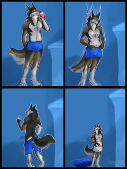 anthro bottomwear brown_body brown_fur clothed clothing countershading drinking fur male micro oversized_bottomwear oversized_clothing potion potion_bottle red_liquid shrinking size_transformation solo transformation underwear underwear_only white_clothing white_underwear czvalokk cross_(crossxwolf) canid canine canis mammal wolf hi_res