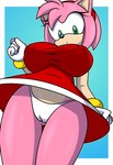 anthro big_breasts breasts butt butt_from_the_front camel_toe clothed clothing female green_eyes huge_breasts looking_at_viewer looking_down low-angle_view nipple_outline panties panty_shot solo tight_clothing underwear upskirt white_clothing white_panties white_underwear sonicguru sega sonic_the_hedgehog_(series) amy_rose eulipotyphlan hedgehog mammal 2024 hi_res