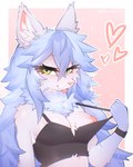 anthro black_clothing black_shirt black_topwear blep blue_hair clothing clothing_pull crop_top female fur green_eyes hair heart_symbol inner_ear_fluff long_hair looking_at_viewer neck_tuft nipples shirt shirt_pull solo tongue tongue_out topwear topwear_pull tuft white_body white_fur prsmrti yuki_(shirsha) domestic_cat felid feline felis mammal bust_portrait hi_res portrait