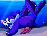 animal_genitalia animal_penis anus balls bubble canine_genitalia canine_penis erection feral genitals looking_back male penis solo swimming underwater water tepigfan101 nintendo pokemon generation_7_pokemon mammal marine pinniped pokemon_(species) popplio shiny_pokemon absurd_res hi_res