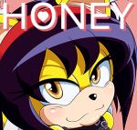 anthro female solo hyoumaru sega sonic_the_fighters sonic_the_hedgehog_(series) honey_the_cat domestic_cat felid feline felis mammal 2016 animated low_res short_playtime