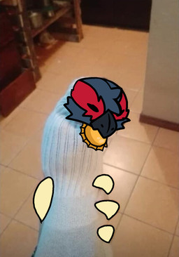 beak blue_body blue_fur bottle_cap clothing feral footwear fur hair red_body red_fur red_wings socks solo tail tongue wings ruionrollers capcom monster_hunter real_world flying_wyvern monster nargacuga digital_drawing_(artwork) digital_media_(artwork) hi_res