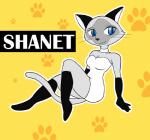 blue_eyes bottomwear clothed clothing dress eyebrows eyelashes female lying on_back skirt solo whiskers white_clothing white_dress damn_lasso_tool maeterlinck's_blue_bird tyltyl_and_mytyl's_adventurous_journey shanet domestic_cat felid feline felis mammal siamese