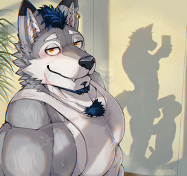 abs amber_eyes anthro balls barazoku biceps big_balls big_penis bodily_fluids body_hair clothing duo ear_piercing ear_ring electronics fur genitals grey_body grey_fur humanoid_genitalia humanoid_penis interspecies looking_at_viewer male male/male muscular muscular_anthro muscular_male pecs penis phone piercing ring_piercing shadow silhouetted_body silhouetted_penis simple_background solo sweat topwear worship bk-mita dachrom canid canine canis human mammal wolf hi_res