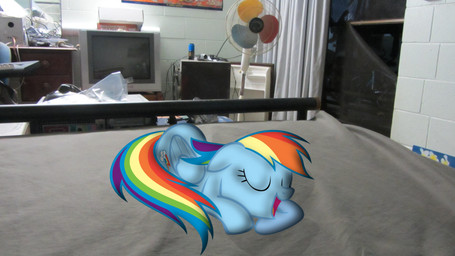 16:9 2014 cutie_mark equine female feral friendship_is_magic fur hair hi_res mammal multicolored_hair my_little_pony open_mouth pegasus rainbow_dash_(mlp) smile solo sunflowertwix tongue widescreen wings
Rating: Safe
Score: 1
User: SunflowerTwix
Date: January 14, 2014 16:9 2014 cutie_mark equine female feral friendship_is_magic fur hair hi_res mammal multicolored_hair my_little_pony open_mouth pegasus rainbow_dash_(mlp) smile solo sunflowertwix tongue widescreen wings
Rating: Safe
Score: 1
User: SunflowerTwix
Date: January 14, 2014