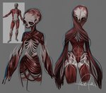 ambiguous_gender body_horror bone clothing gore horror_(theme) leotard male not_furry rib_cage skeleton skinless skull skull_head solo teeth feefal animated_skeleton humanoid monster undead hi_res