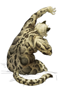 anthro bed blonde_hair fat_rolls fur furniture hair male markings nude on_bed overweight overweight_anthro overweight_male raised_arm realistic_anatomy rear_view simple_background sitting sitting_on_bed solo spots spotted_body spotted_fur stretching tail tan_body white_background cettus clouded_leopard felid mammal pantherine 2025 hi_res