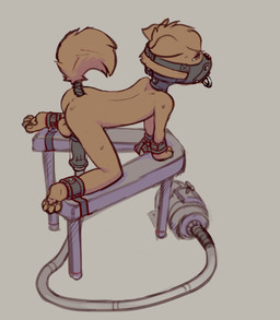 all_fours anthro arms_tied back_groove backsack balls barefoot bdsm biped black_collar bodily_fluids bondage bondage_furniture bound butt collar crying feet fully_bound fur gag gagged genitals legs_tied machine male milking_machine muzzle_(object) muzzled nude penile penis penis_milking side_view solo spread_legs spreading submissive submissive_male sweat tail tail_wraps tan_balls tan_body tan_fur tan_tail tears wraps young young_anthro young_male skidoo canid canine mammal digital_media_(artwork) hi_res