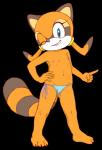 anthro areola bikini breasts camel_toe clothed clothing erect_nipples female flat_chested nipples simple_background smile solo standing swimwear topless two-piece_swimsuit underwear young young_anthro jenokamui sega sonic_the_hedgehog_(series) marine_the_raccoon mammal procyonid raccoon 2018 alpha_channel