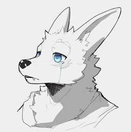 anthro blue_eyes bodily_fluids cheek_tuft clothed clothing crying facial_tuft fangs male male_anthro mouth_closed neck_tuft simple_background solo tears teeth tuft t.y.stars canid canine mammal bust_portrait partially_colored portrait