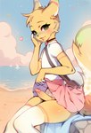 anthro beach biped bottomwear clothed clothing clothing_lift crossdressing detailed_background erection femboy genitals hair legwear male no_underwear penis skirt skirt_lift solo thick_thighs thigh_highs frenky_hw canid canine mammal hi_res