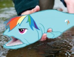 cutie_mark duo female feral hair humor multicolored_hair pun purple_eyes rainbow_hair river solo_focus visual_pun water what wings third-party_edit unknown_artist friendship_is_magic hasbro my_little_pony rainbow_dash_(mlp) fish marine low_res shopped