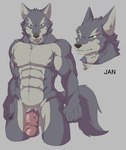 abs anthro balls blue_eyes cheek_tuft countershading facial_tuft fist fur genitals glans grey_background grey_body grey_fur grey_nose hand_on_leg humanoid_genitalia humanoid_penis kemono looking_at_viewer male nipples pecs penis pink_glans pink_nipples pink_penis simple_background solo tan_body tan_countershading thick_penis tuft geppei5959 jan_(geppei5959) canid canine canis mammal wolf 2023 cel_shading digital_media_(artwork) headshot_portrait hi_res model_sheet portrait shaded three-quarter_portrait