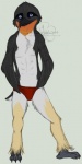 anthro beak belly black_body black_fur blue_eyes claws clothing fur male markings orange_markings solo underwear white_belly nicnak044 enric avian bird king_penguin penguin source_request