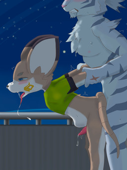 abdominal_bulge age_difference anal anal_orgasm anal_penetration anthro anthro_on_anthro anthro_penetrated anthro_penetrating anthro_penetrating_anthro arm_grab arm_pull blue_eyes blush bodily_fluids brown_body brown_fur clothed clothed/nude clothing cum cum_in_ass cum_inside cum_while_penetrated dominant dominant_male dripping drooling duo ejaculation fangs feet fingers from_behind_position fucked_silly fur genital_fluids genitals hands-free larger_dom larger_male looking_pleasured male male/male male_penetrated male_penetrating male_penetrating_male nude obscured_penetration obscured_sex older_dom_younger_sub older_male orgasm outside outside_sex penetration penile penile_penetration penis penis_in_ass precum precum_drip prison_guard_position saliva sex shota simultaneous_orgasms size_difference smaller_male submissive submissive_male sweat teeth tongue tongue_out topwear white_body white_fur young younger_male younger_penetrated feni_(artist) cygames world_flipper nimbus_(world_flipper) sven_(world_flipper) felid feline mammal mouse murid murine pantherine rodent tiger 2022 3:4 absurd_res hi_res