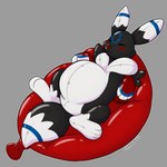 balloon balloon_support belly big_belly black_body black_outline blue_markings dipstick_tail ear_markings eyes_closed facial_markings feral happy head_markings inflatable inflatable_ride inflatable_support inflation lying markings on_back on_balloon outer_highlight outline pool_toy quadruped red_markings red_nose smile solo tail tail_markings white_outline white_tail_tip symrea animate_inanimate living_inflatable 1:1 2022 digital_media_(artwork) full-length_portrait hi_res portrait restricted_palette