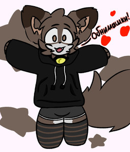 anthro bell bell_collar big_tail boxers_(clothing) clothing collar fluffy fluffy_tail hoodie hug legwear male offering_hug oversized_clothing solo standing star stockings tail text topwear underwear waiting gokkin hi_res russian_text translated
