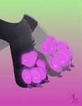 ambiguous_gender anthro black_body curling_toes feet fluffy foot_shot fur glowing glowing_pawpads pawpads paws purple_paws solo purpleskunk_(artist) suerte domestic_cat felid feline felis mammal animated shaded short_playtime signature soft_shading