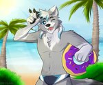 anthro beach clothed clothing donut_pool_toy donut_print fickle food_pool_toy food_print holding_object holding_pool_toy inflatable male pool_toy print_pool_toy seaside solo swimwear topless frickle dante_kinkade canid canine canis mammal wolf