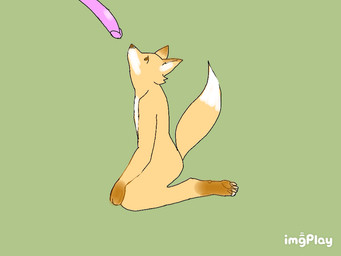 ambiguous_gender anthro belly belly_inflation bodily_fluids brown_markings cheek_tuft cum cum_inflation cum_inside digitigrade dipstick_ears dipstick_tail disembodied_hand duo ear_markings facial_tuft fur genital_fluids gloves_(marking) green_background inflation leg_markings male male/ambiguous markings multicolored_body multicolored_ears multicolored_fur multicolored_tail nude orange_body orange_fur pawpads penis_tentacles purple_tentacles shrinking simple_background size_transformation socks_(marking) solo_focus tail tail_markings tentacles transformation tuft two_tone_body two_tone_fur white_body white_fur featherscratches imgplay canid canine fox mammal 2d_animation 4:3 animated