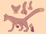 anatomically_correct anatomically_correct_genitalia anatomically_correct_pussy animal_clitoris animal_genitalia anus big_clitoris brown_body brown_fur clitoral_spines clitoris female feral fossa_pussy fur genitals multicolored_pussy pink_inner_pussy pink_pseudo-penis pink_pussy pseudo-penis pussy simple_background solo tail tail_anus two_tone_pussy yellow_background conditional_dnp labbit_(artist) sol_(labbit) euplerid fossa mammal hi_res model_sheet