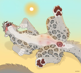 4_nipples animal_genitalia animal_vulva anus belly_blush black_body black_fur blush bodily_fluids body_blush claws digitigrade feline_genitalia feline_vulva female feral fur gaping gaping_vagina genitals grey_body grey_fur lying multi_nipple multicolored_body multicolored_fur nipples on_back outside pawpads paws solo spots spread_legs spreading sun sweat tongue tongue_out vulva digitoxici digi felid mammal pantherine snow_leopard 2021 hi_res