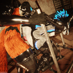 anal anal_penetration animal_genitalia animal_penis anthro anthro_on_anthro anthro_penetrated anthro_penetrating anthro_penetrating_anthro arms_tied armwear ball_gag balls bdsm biped black_body black_clothing black_fur blindfold blue_body blue_fur blue_penis bodily_fluids bondage bound breeding_mount canine_genitalia canine_penis claws clothed clothing cuffs_(clothing) cum cum_dripping_from_penis cum_on_penis depth_of_field dominant duo erection feet fur gag gagged genital_fluids genitals grey_body grey_fur hair hindpaw inside kneeling knot latex latex_armwear latex_clothing latex_legwear latex_thigh_highs legs_tied legwear male male/male male_penetrated male_penetrating male_penetrating_male multicolored_body open_mouth orange_body orange_fur orgasm paws penetration penis reflection restraints sex slim slim_anthro slim_male slim_sub smile standing submissive submissive_male tail tan_body tan_fur thigh_highs white_body white_fur dragonplayer dragonplayer_(character) octo_(octothekitsune) canid canine canis fox hybrid jex mammal rexouium 1:1 3d_(artwork) absurd_res blender_(artwork) blender_cycles_(artwork) digital_media_(artwork) hi_res