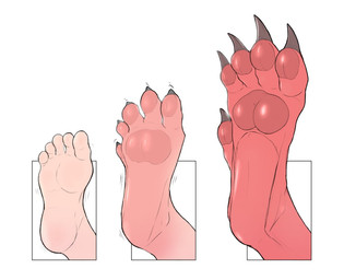 5_toes ambiguous_gender base_one_layout basic_sequence body_part_growth claw_growth claws feet foot_shot foot_transformation growth hindpaw human_to_anthro linear_sequence mid_transformation one_row_layout pawpads paws soles solo species_transformation three_frame_image three_frame_sequence toe_claws toes transformation transformation_sequence koopacap mythology dragon human mammal mythological_creature mythological_scalie scalie sequence