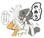 ambiguous_gender angry blush bodily_fluids cross-popping_vein duo eyes_closed feral fur grabbing_own_tail grey_body grey_fur hand_on_head kemono open_mouth orange_body orange_fur semi-anthro simple_background sweat tail tail_grab text white_body white_fur ayaka kyappy shibeta canid canine canis domestic_dog husky mammal nordic_sled_dog shiba_inu siberian_husky spitz digital_media_(artwork) japanese_text translated female_(lore) male_(lore)