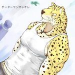 anthro clothing fur kemono male muscular muscular_anthro muscular_male shirt solo text topwear yellow_body yellow_fur unknown_artist action_52 cheetahmen cheetah felid feline mammal 1:1 2007 archived_source japanese_text low_res