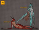 anthro athletic beak blue_body blue_scales duo female femme_fatale horn lying on_side red_body red_scales scales sensual tail text toned_female winged_arms wings the_nameless_guy demon's_souls european_mythology fromsoftware mythology demon dragon mythological_creature mythological_scalie scalie western_dragon wyvern english_text hi_res