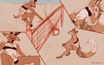 anthro beach beach_volleyball blush clothed clothing countershading duo genitals male male/male net one-piece_swimsuit penis seaside sport swimwear translucent translucent_clothing translucent_swimwear volleyball volleyball_net lawyerdog gris_swimsuit meme_clothing cantio_(lawyerdog) panko_(lawyerdog) canid canine canis coyote deer mammal 2022 hi_res meme