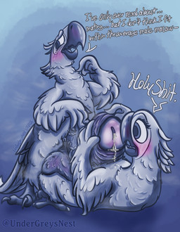 anthro balls beak big_balls big_penis biped blue_background blue_body blush bodily_fluids canon_couple claws dialogue dripping duo eyelashes feather_hands feathered_wings feathers feet female fluffy_balls foreskin genital_fluids genitals head_feathers holding_penis huge_balls huge_penis humanoid_genitalia humanoid_penis hyper hyper_balls hyper_genitalia hyper_penis imminent_sex leaking_precum looking_at_genitalia looking_at_penis looking_away lying male male/female male_virgin musk musky_penis neck_tuft nervous on_back penis penis_on_belly penis_on_chest precum precum_drip precum_on_chest simple_background standing staring_at_penis stated_virginity surprised sweat sweaty_balls sweaty_genitalia sweaty_penis tail tail_feathers talons text toe_claws toes tuft vein veiny_penis virgin wings y-dactyl undergreysnest blue_sky_studios rio_(series) blu_(rio) jewel_(rio) avian bird macaw neotropical_parrot parrot spix's_macaw true_parrot 2026 dated digital_drawing_(artwork) digital_media_(artwork) english_text hi_res monochrome signature watermark