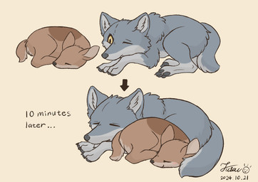 ambiguous_gender black_nose black_pawpads brown_body brown_fur claws countershading duo eyes_closed feet feral fur grey_body grey_fur lying multicolored_body multicolored_fur on_front one_eye_closed pawpads paws quadruped simple_background sleeping smile tail tan_body tan_fur text toes tuft yellow_eyes fusau canid canine canis deer mammal wolf 2024 dated digital_media_(artwork) english_text signature