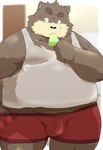 anthro balls_outline belly big_belly black_nose boxer_briefs brown_body brown_fur bulge clothing dessert detailed_bulge eating food fur genital_outline humanoid_hands ice_cream kemono male overweight overweight_male penis_outline red_clothing red_underwear shirt solo tank_top topwear underwear kisukemk777 bear mammal 2017 hi_res