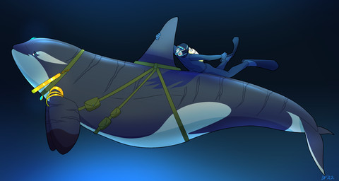 black_body black_clothing black_fin blue_eyes blue_glow clothing duo feral gold_ring male scuba_gear underwater water dolphinproject aquatic cetacean dolphin human mammal oceanic_dolphin orca toothed_whale 2022 hi_res watermark