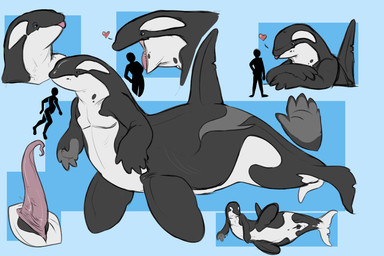 animal_genitalia animal_penis black_body blue_eyes cetacean_genitalia cetacean_penis dorsal_fin duo erection fin genital_slit genitals lying mouth_closed narrowed_eyes on_side open_mouth penis pink_penis pink_tongue side_view simple_background split_form tapering_penis tongue white_body swampjaws aquatic cetacean dolphin mammal merfolk oceanic_dolphin orca toothed_whale hi_res model_sheet