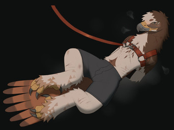 anthro arms_tied beak black_background blush bound breath briefs brown_body brown_eyes brown_feathers claws clothed clothed_anthro clothed_male clothing countershading feathers grey_beak grey_briefs grey_claws grey_clothing grey_underwear hair hands_behind_back harness leash male male_anthro multicolored_beak orange_tail red_harness red_leash scutes simple_background solo submissive submissive_anthro submissive_male tail tan_body tan_countershading tan_feathers tan_hair two_tone_beak underwear yellow_beak yellow_scutes buteoposting accipitrid accipitriform avian bird buteo chickenhawk red-tailed_hawk 2026 full-length_portrait hi_res portrait