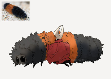 ambiguous_gender anthro black_body black_eyes black_fur cloak clothing duo face_in_fur feral fluffy fur hug kneeling logo mandibles multicolored_body multicolored_fur orange_body orange_fur red_cloak red_clothing serpentine side_view simple_background striped_body striped_fur stripes three-quarter_view white_background white_body snakedraws hollow_knight_(franchise) team_cherry hornet_(hollow_knight) arthropod caterpillar insect isabella_tiger_moth larva lepidopteran moth tiger_moth 2025 artist_logo hi_res reference_image female_(lore)
