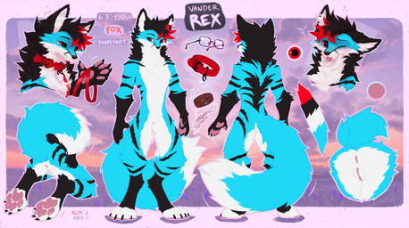 andromorph anthro anus balls black_claws black_nose black_vulva blue_body blue_fur blue_tail claws collar dipstick_tail fur genitals humanoid_genitalia humanoid_vulva intersex markings one_eye_closed pawpads pink_pawpads red_collar red_eyes solo tail tail_markings tongue tongue_out vulva white_balls white_body white_fur white_tail_tip alikars canid canine fox mammal hi_res model_sheet
