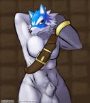 animal_genitalia anthro balls fully_sheathed genitals male nude sheath solo kaivolate raptorkou sega shining_(sega) shining_soul shining_soul_2 sachs_(shining) canid canine canis mammal wolf signature