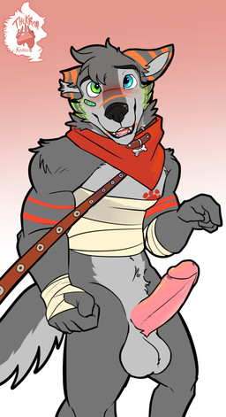 anthro balls bandage bandaged_arm bandaged_chest big_balls big_penis blush collar first_person_view genitals humanoid_genitalia humanoid_penis leash leash_pull leashed_collar leashing_pov looking_at_viewer male markings mostly_nude offscreen_character penis scarf scarf_only simple_background solo striped_markings stripes thekinkybear canid canine canis domestic_dog husky mammal nordic_sled_dog spitz hi_res